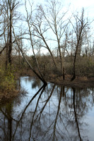 Nottoway River 11-26-2011