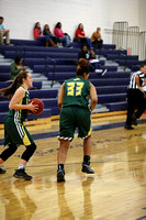 Dinwiddie vs Louisa Girls Basketball