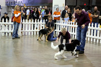 Pet Expo Puppy Races